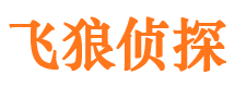 尼勒克寻人公司